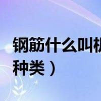 钢筋什么叫机械连接（钢筋机械连接分为哪些种类）