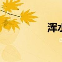浑水报告最新视频（浑）