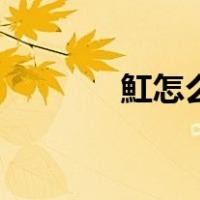 魟怎么读音是什么意思（魟）