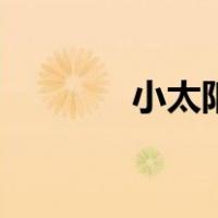 小太阳网络（小太阳网登录）
