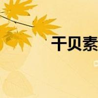 干贝素哪个牌子最好（干贝素）