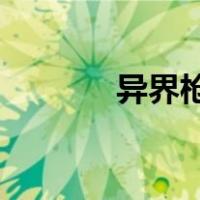 异界枪神 飘零幻（异界枪神）