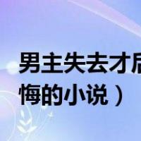 男主失去才后悔之类的小说（男主失去女主后悔的小说）