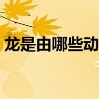 龙是由哪些动物组成（龙是由几种动物组成）