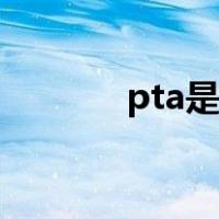 pta是什么意思（pta是什么）