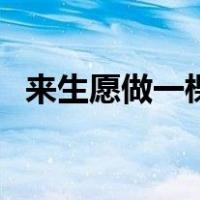 来生愿做一棵树张爱玲（来生愿做一棵树）