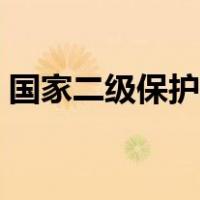国家二级保护树种砍伐（国家二级保护树种）