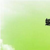 蝙蝠侠4（蝙蝠侠4）