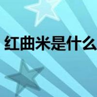 红曲米是什么植物长出来的（红曲米是什么）
