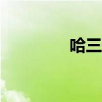 哈三中在哪里（哈三中吧）