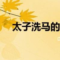 太子洗马的职责（太子洗马是什么官职）
