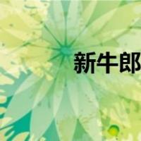 新牛郎织女歌曲（新牛郎织女）