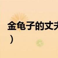 金龟子的丈夫王宁的腿怎么了（金龟子的丈夫）