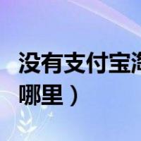 没有支付宝淘宝退款退到哪里（淘宝退款退到哪里）