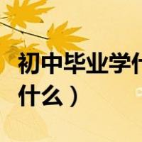 初中毕业学什么技术比较有前途（初中毕业学什么）