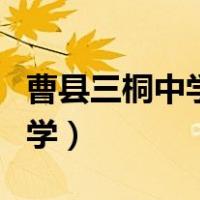 曹县三桐中学录取分数线是多少（曹县三桐中学）
