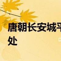 唐朝长安城平面图和北宋东京平面图的不同之处