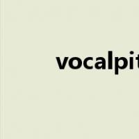 vocalpitchmonitor安卓下载中文