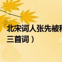 北宋词人张先被称为张三影,因为他有三句（张先的三影是哪三首词）