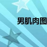 男肌肉图片壁纸高清（肌肉男壁纸）