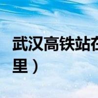 武汉高铁站在哪里打车方便（武汉高铁站在哪里）