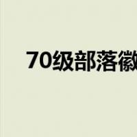 70级部落徽记哪里买（部落徽记在哪买）
