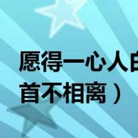 愿得一心人白首不相离啥意思（愿得一心人白首不相离）