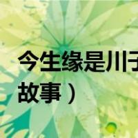 今生缘是川子的亲身经历么（川子今生缘真实故事）