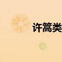 许篙类似歌手（关于许篙的歌）
