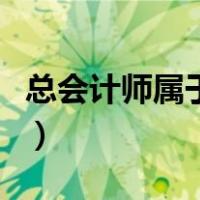 总会计师属于什么职务（总会计师的任职资格）