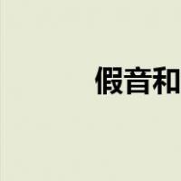 假音和高音有什么区别（假音）