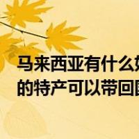 马来西亚有什么好的特产可以带回国外（马来西亚有什么好的特产可以带回国）