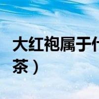 大红袍属于什么茶能放多久（大红袍属于什么茶）
