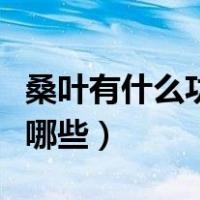 桑叶有什么功效和作用（桑叶的作用与功效有哪些）