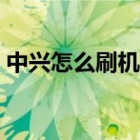 中兴怎么刷机视频教程（中兴手机刷机教程）