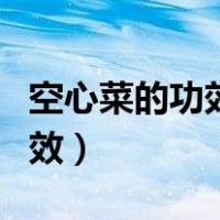 空心菜的功效与作用及营养价值（空心菜的功效）