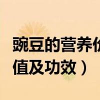 豌豆的营养价值及功效与作用（豌豆的营养价值及功效）