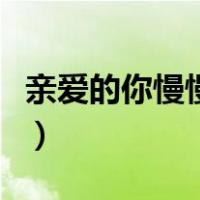 亲爱的你慢慢飞是什么歌词（亲爱的你慢慢飞）
