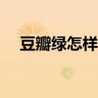 豆瓣绿怎样繁殖（豆瓣绿的繁殖方法图）