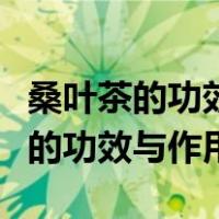 桑叶茶的功效与作用及禁忌百度百科（桑叶茶的功效与作用）