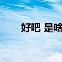好吧 是啥意思（那好吧是什么意思）