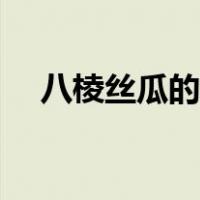 八棱丝瓜的营养价值（丝瓜的营养价值）