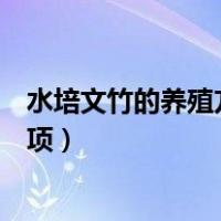 水培文竹的养殖方法和注意事项（文竹的养殖方法和注意事项）