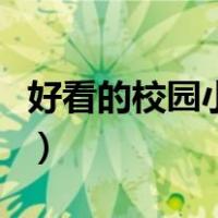 好看的校园小说男主是校草（好看的校园小说）