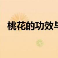 桃花的功效与作用（桃花茶的功效与作用）