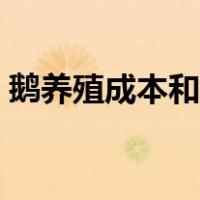 鹅养殖成本和利润分析（鹅养殖成本和利润）
