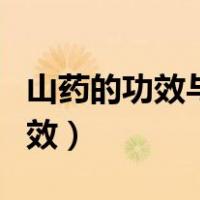 山药的功效与作用以及副作用禁忌（山药的功效）