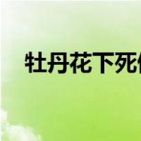 牡丹花下死做鬼也风流什么意思打一动物
