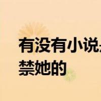 有没有小说是男主很爱女主 但是很虐喜欢囚禁她的