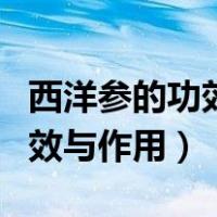 西洋参的功效与作用适合哪些人（西洋参的功效与作用）